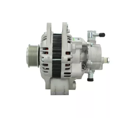 BV PSH Alternator (255.604.110.000)