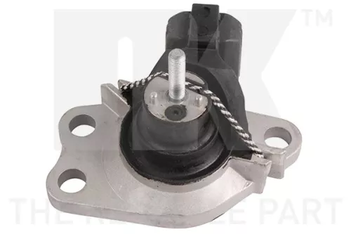Mounting, engine