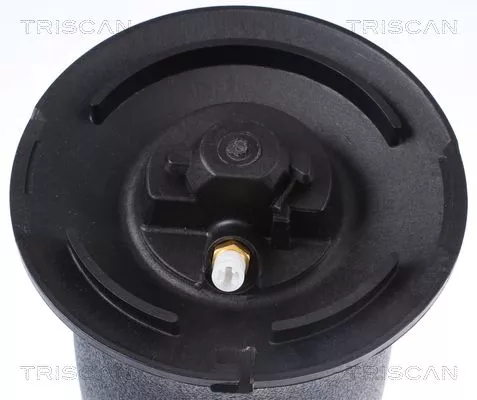 TRISCAN Air Spring, suspension (872011202)