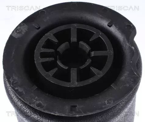 TRISCAN Air Spring, suspension (872011202)