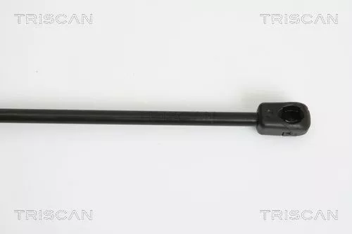TRISCAN Gas Spring, boot/cargo area (871029279)