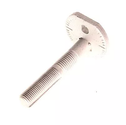Camber Correction Screw