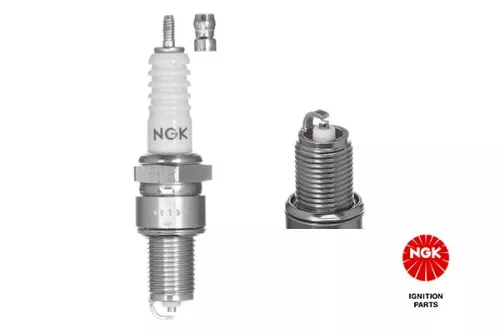 NGK Spark Plug (6511)
