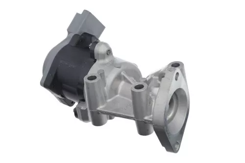 VALEO EGR Valve (700411)