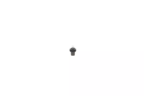 BOSCH Bulb (1 987 302 219)