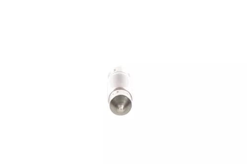 BOSCH Bulb (1 987 302 226)