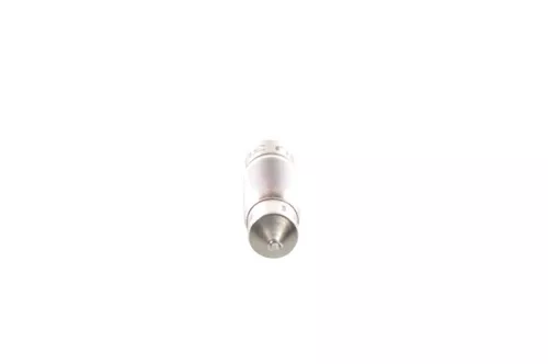 BOSCH Bulb (1 987 302 226)