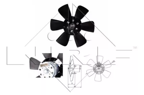 Fan, engine cooling