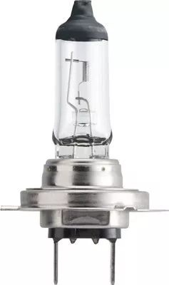 PHILIPS Bulb (13972MLC1)