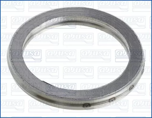 Seal Ring, exhaust pipe