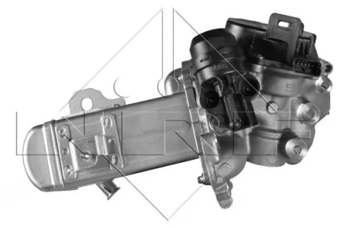 NRF EGR Valve (48204)