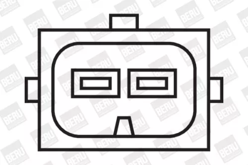 BorgWarner (BERU) Ignition Coil (ZS308)