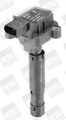 BorgWarner (BERU) Ignition Coil (ZS077)