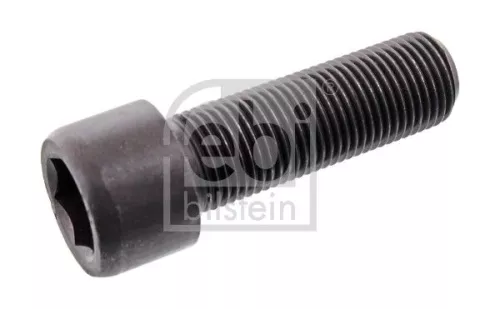 Centering Bolt, crankshaft pulley