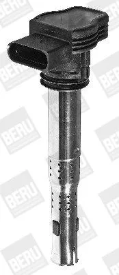 BorgWarner (BERU) Ignition Coil (ZSE033)