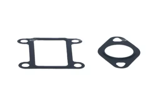 NRF EGR Valve (48326)