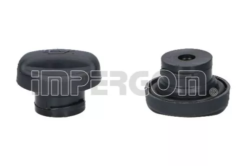 Sealing Cap, oil filler neck