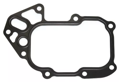 Gasket, oil cooler