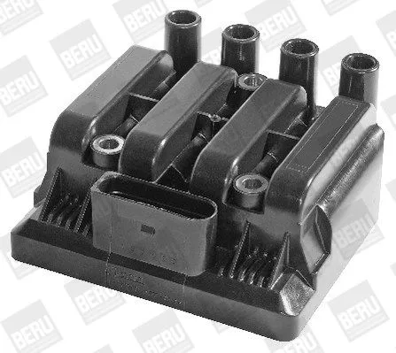 BorgWarner (BERU) Ignition Coil (ZSE029)