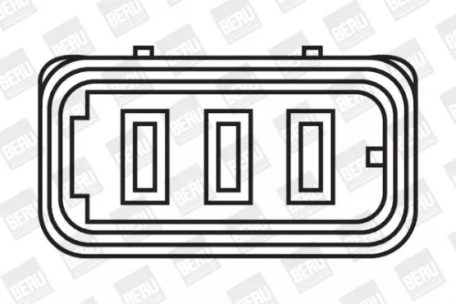 BorgWarner (BERU) Ignition Coil (ZS014)
