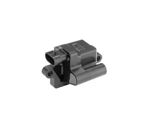 BorgWarner (BERU) Ignition Coil (ZSE177)