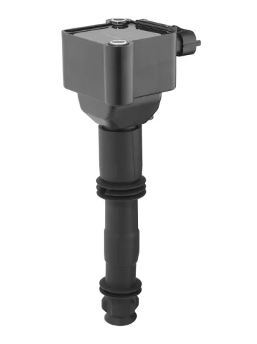 BorgWarner (BERU) Ignition Coil (ZS178)