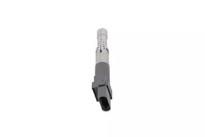 BorgWarner (BERU) Ignition Coil (ZSE063)