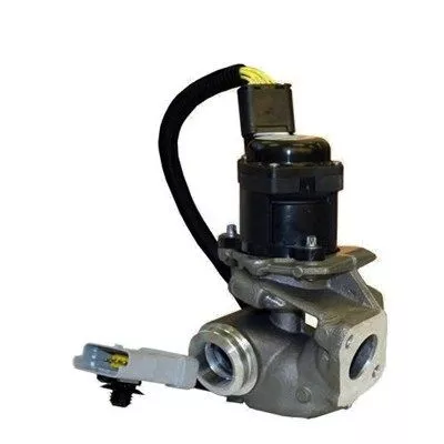 EGR Valve