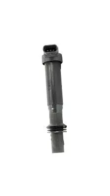 BorgWarner (BERU) Ignition Coil (ZS557)