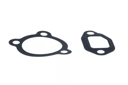 NRF EGR Valve (48331)