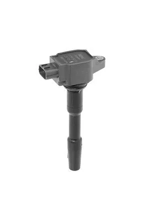 BorgWarner (BERU) Ignition Coil (ZSE131)