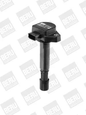 BorgWarner (BERU) Ignition Coil (ZSE170)