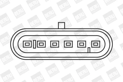 BorgWarner (BERU) Ignition Coil (ZS079)