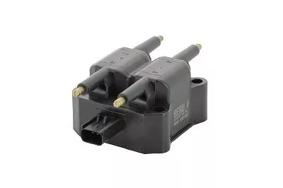 BorgWarner (BERU) Ignition Coil (ZS382)