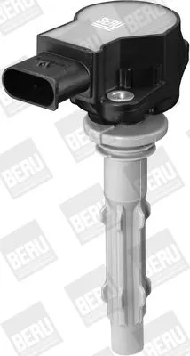 BorgWarner (BERU) Ignition Coil (ZSE140)