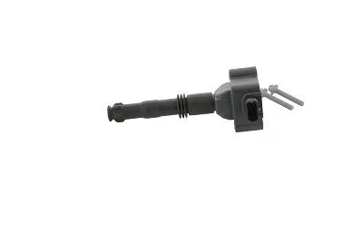 BorgWarner (BERU) Ignition Coil (ZS177)