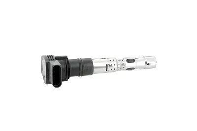 BorgWarner (BERU) Ignition Coil (ZSE062)