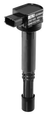 BorgWarner (BERU) Ignition Coil (ZSE169)