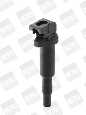 BorgWarner (BERU) Ignition Coil (ZSE143)