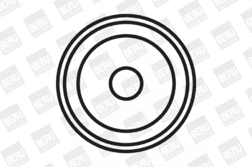 BorgWarner (BERU) Ignition Coil (ZS340)