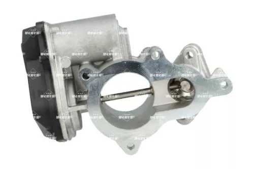 NRF EGR Valve (48329)
