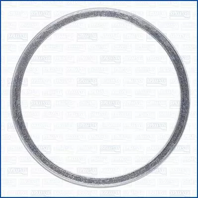 Seal Ring, exhaust pipe