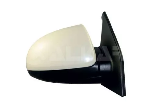 Exterior Mirror