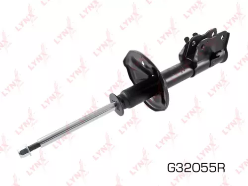 Shock absorber strut gas, right, front