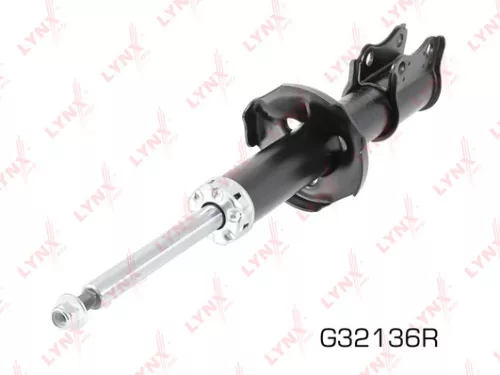Shock absorber strut gas, right, front