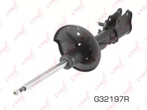 Shock absorber strut gas, right, rear