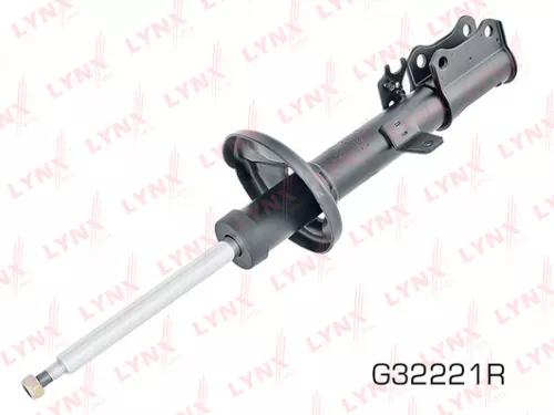 Shock absorber strut gas, right, rear