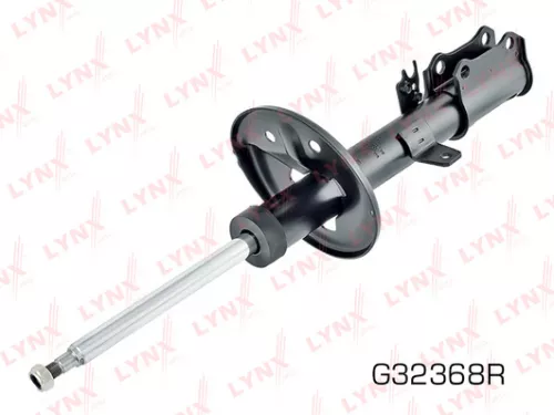 Shock absorber strut gas, right, rear