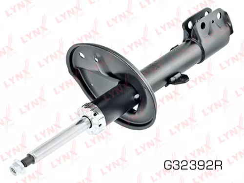 Shock absorber strut gas, right, front