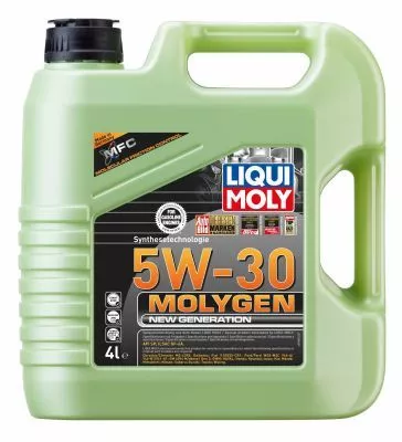 Liqui Moly Engine Oil (9089)
